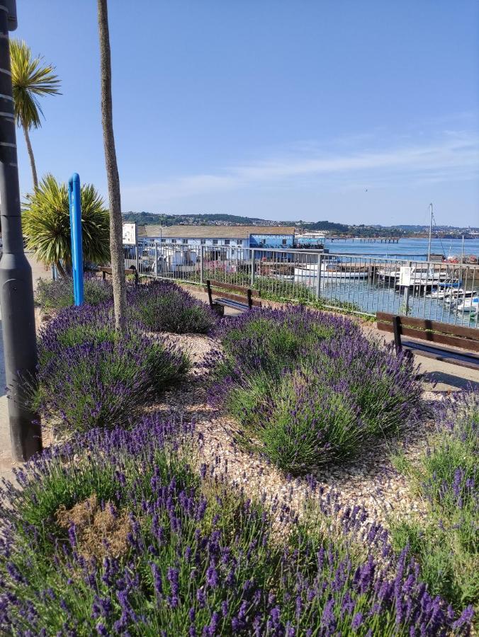 Cleve Court Hotel Paignton Bagian luar foto